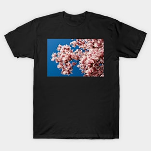 Welcome the Magnolia (Landscape) T-Shirt